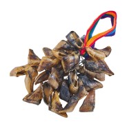 Ziegenhufrassel, Shaker Ziegenhufrassel, Shaker