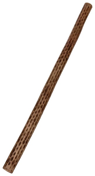Rainmaker, Kaktus, Ø ca. 4-5cm, L 75cm