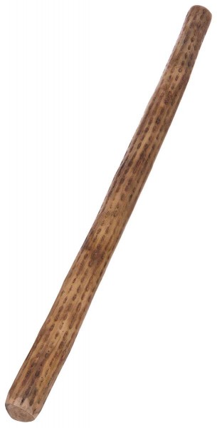 Rainmaker, cactus, Ø c. 5-8cm, L 100cm