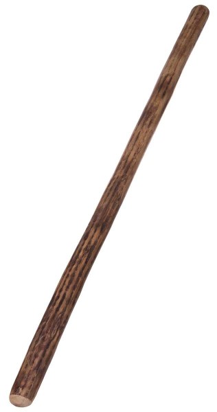 Rainmaker, Kaktus, Ø ca. 5-8cm, L 150cm