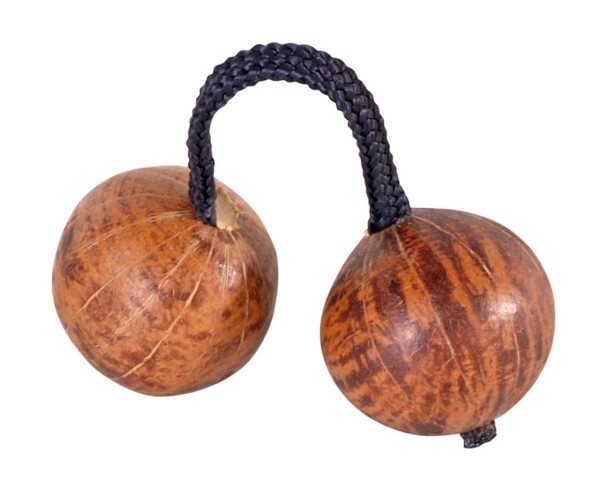Afroton Thelevi, double-ball rattle