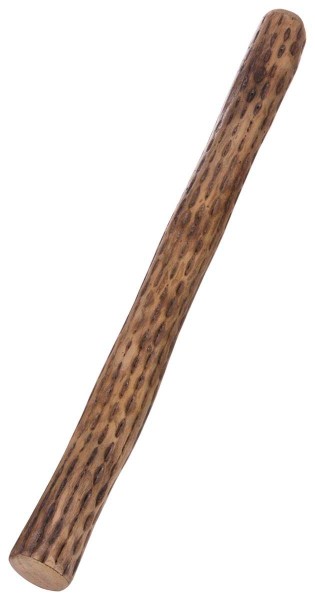 Rainmaker, cactus, Ø c. 5-8cm, L 75cm